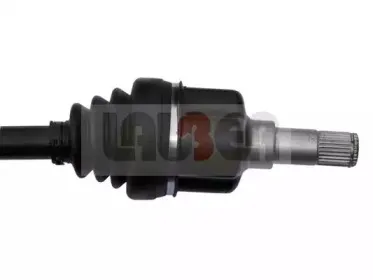 lauber-880365