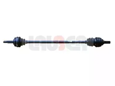 lauber-880369