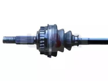 lauber-880369
