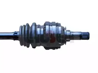 lauber-880369