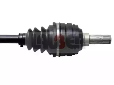 lauber-880390