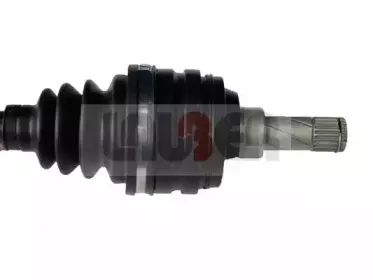 lauber-880391
