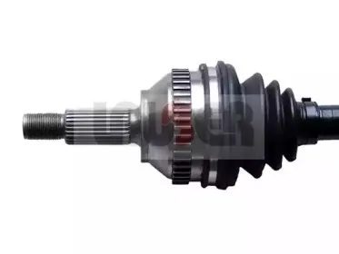 lauber-880405