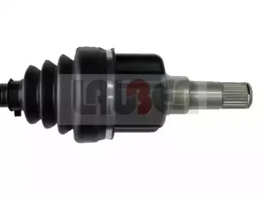 lauber-880407