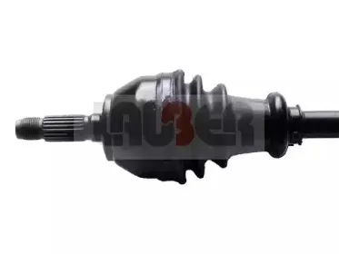 lauber-880433