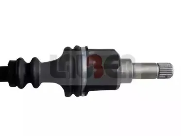lauber-880434