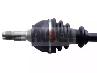 lauber-880436