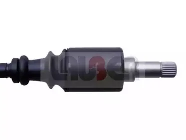 lauber-880436