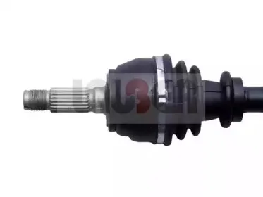 lauber-880442