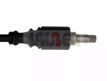 lauber-880445