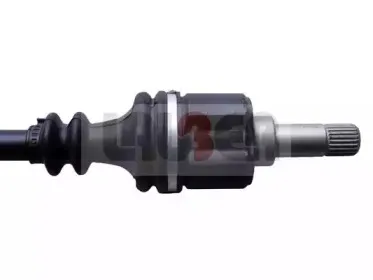 lauber-880449