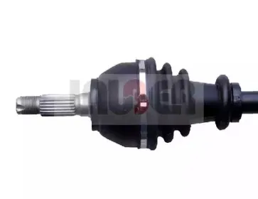 lauber-880456
