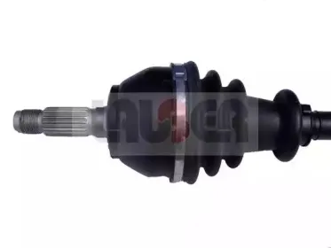 lauber-880459