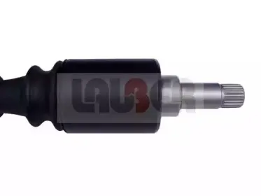 lauber-880459