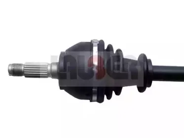 lauber-880460