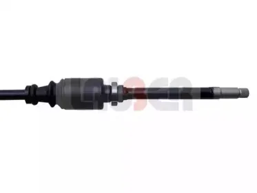 lauber-880460