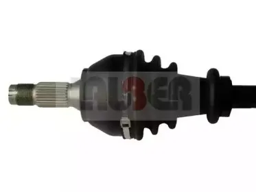 lauber-880462