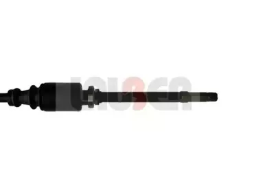 lauber-880462