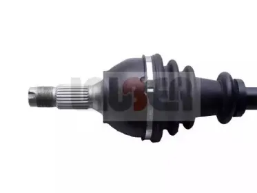 lauber-880463