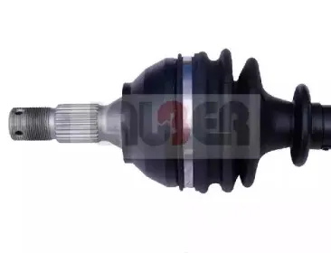 lauber-880470