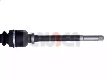 lauber-880470