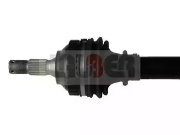 lauber-880482