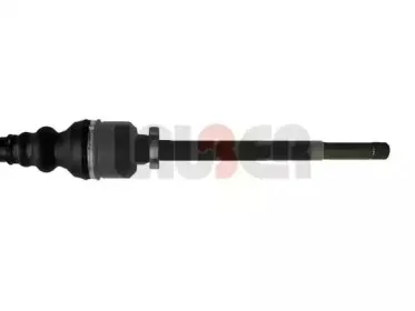 lauber-880482