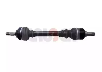 lauber-880483