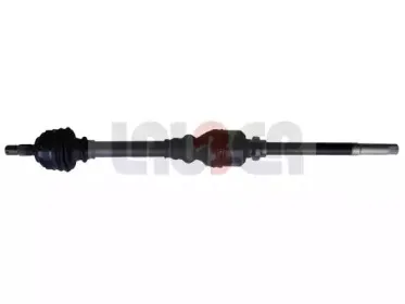 lauber-880484