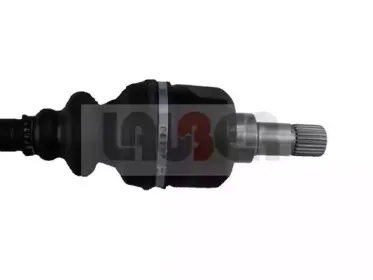 lauber-880491