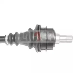 lauber-880547