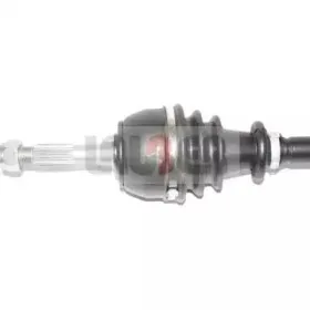 lauber-880547