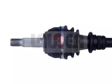 lauber-880573