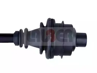 lauber-880573
