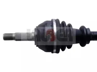 lauber-880574
