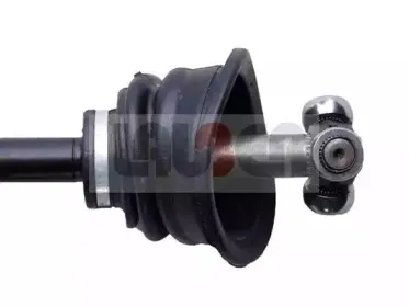 lauber-880574