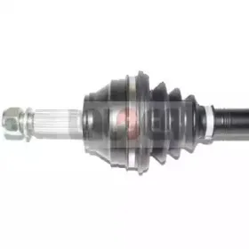 lauber-880577