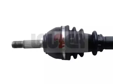lauber-880583