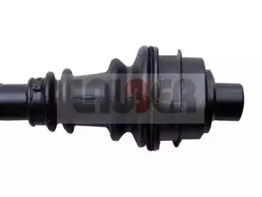 lauber-880583