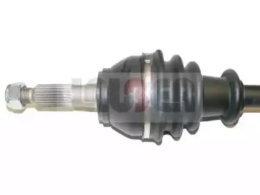 lauber-880595