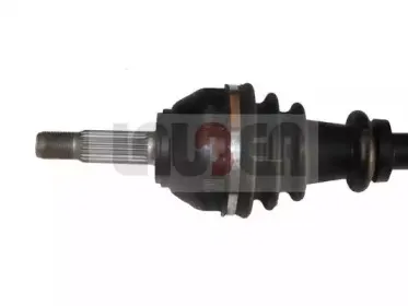 lauber-880596