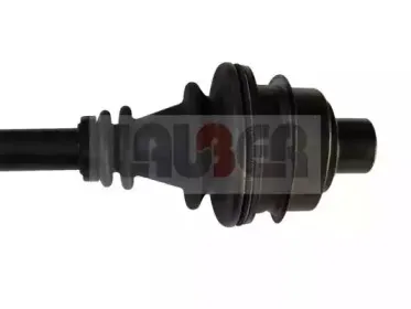 lauber-880596