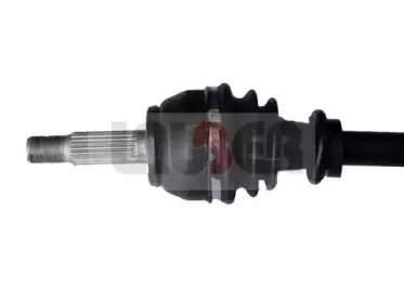 lauber-880598