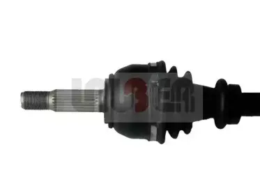 lauber-880599