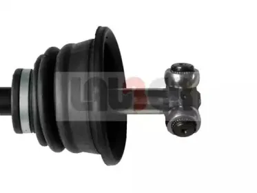 lauber-880599