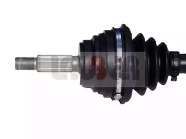 lauber-880613