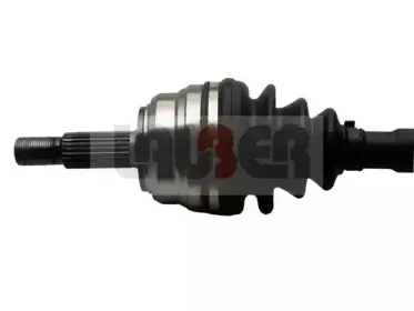 lauber-880617
