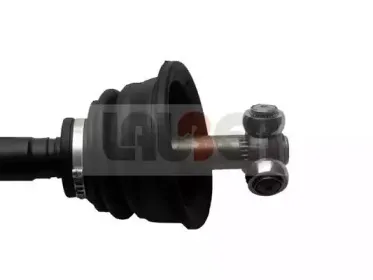 lauber-880617