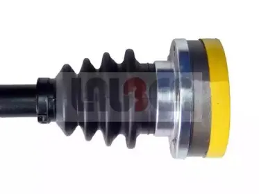 lauber-880663