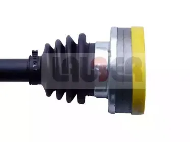 lauber-880677